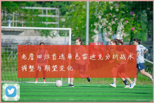 老詹回归首选角色雷迪克分析战术调整与期望变化